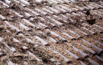 Elstone roof cleaning companies